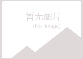 鹤岗兴山沉沦服务有限公司